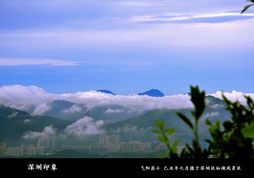 最爱巧克力纸杯蛋糕