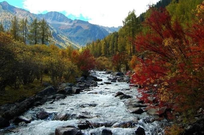 克雷桑回归打破另攀高枝西亚的传闻 他还是山东泰山屠龙刀